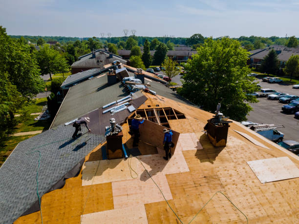 Best Metal Roofing Contractor  in Brown City, MI