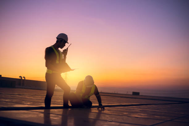 Best Local Roofing Companies  in Brown City, MI