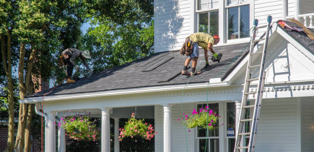 Best Roof Maintenance Services  in Brown City, MI